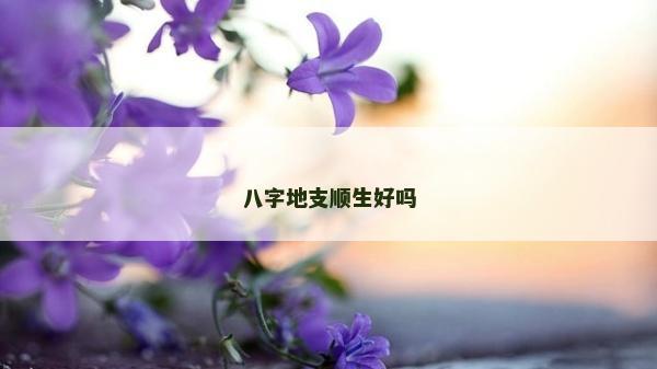 八字地支顺生好吗
