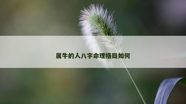 属牛的人八字命理格局如何