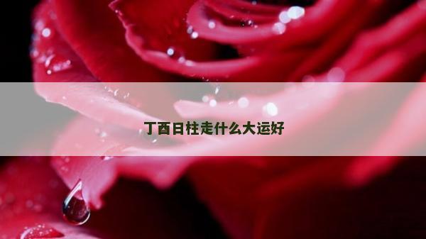 丁酉日柱走什么大运好