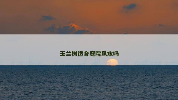 玉兰树适合庭院风水吗