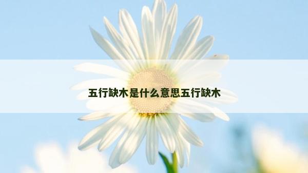 五行缺木是什么意思五行缺木