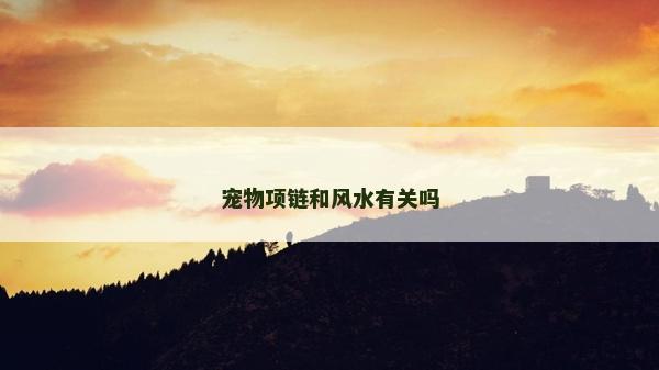 宠物项链和风水有关吗