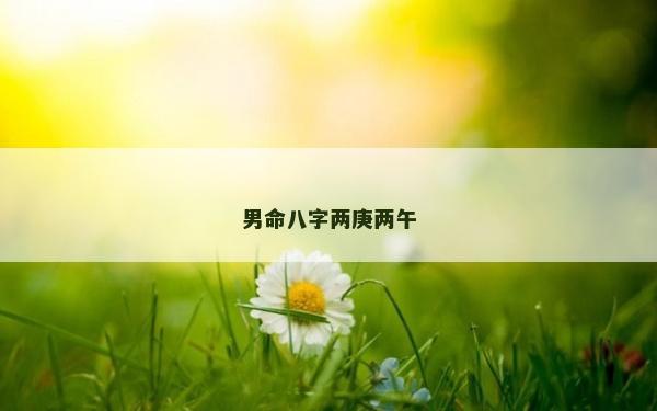 男命八字两庚两午