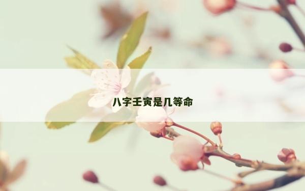 八字壬寅是几等命