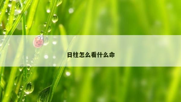 日柱怎么看什么命