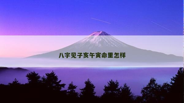 八字见子亥午寅命里怎样