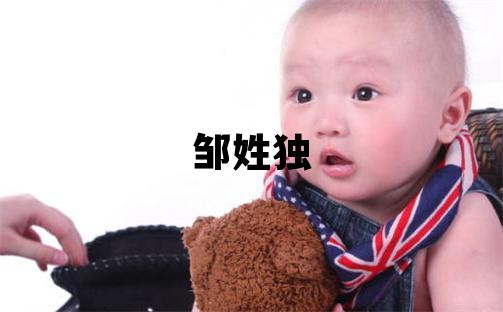 邹姓独特优美的男宝宝名字
