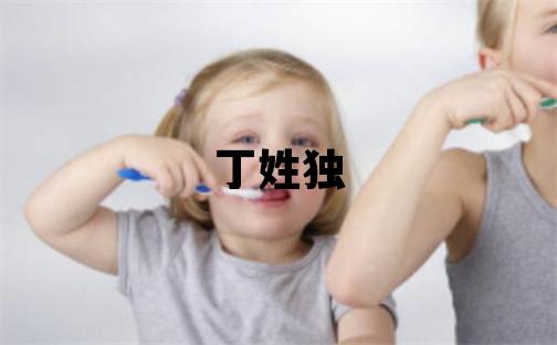 丁姓独特优美的男孩名字