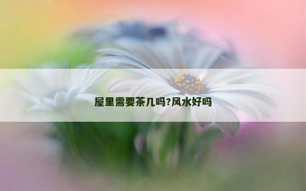 屋里需要茶几吗?风水好吗