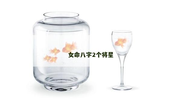 女命八字2个将星