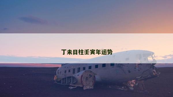 丁未日柱壬寅年运势