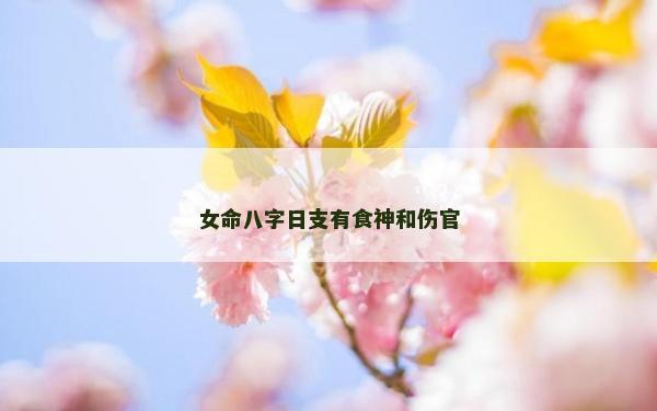 女命八字日支有食神和伤官