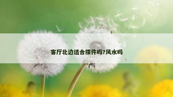 客厅北边适合摆件吗?风水吗