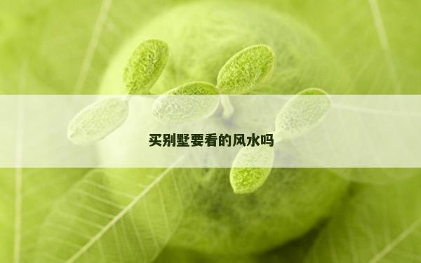买别墅要看的风水吗