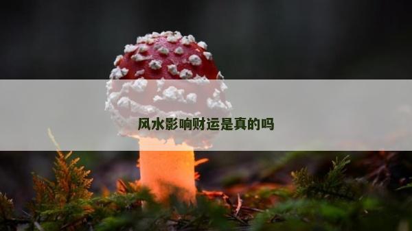 风水影响财运是真的吗
