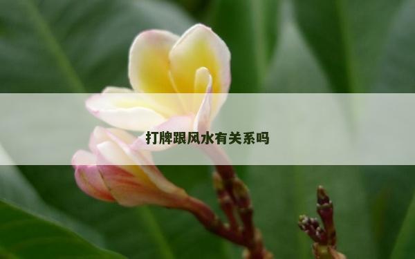 打牌跟风水有关系吗