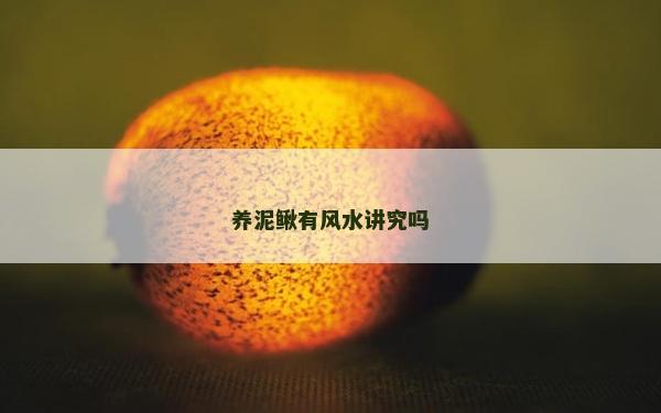 养泥鳅有风水讲究吗