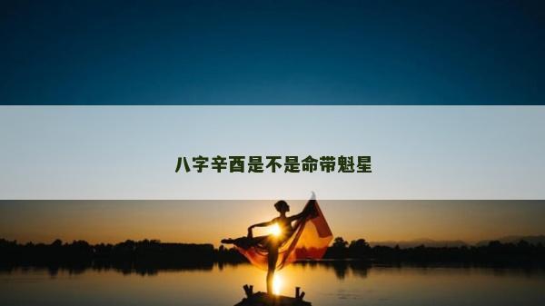 八字辛酉是不是命带魁星