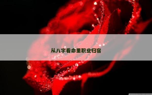 从八字看命里职业归宿