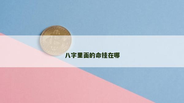 八字里面的命挂在哪