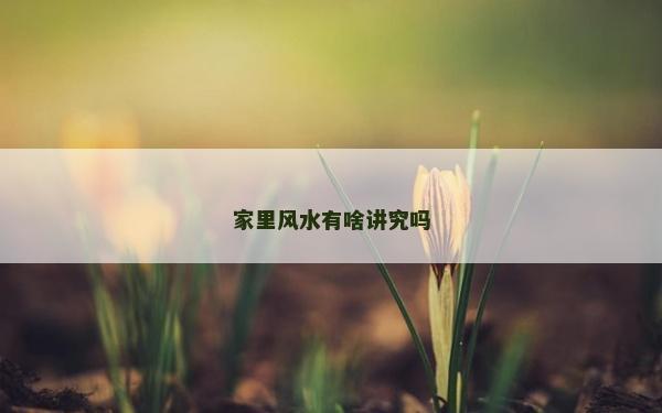 家里风水有啥讲究吗