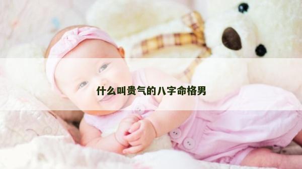 什么叫贵气的八字命格男