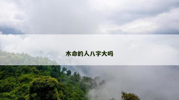 木命的人八字大吗