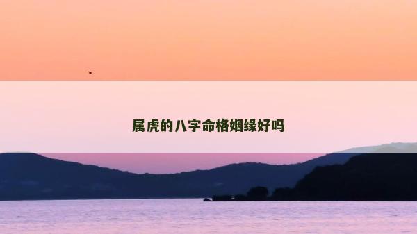 属虎的八字命格姻缘好吗