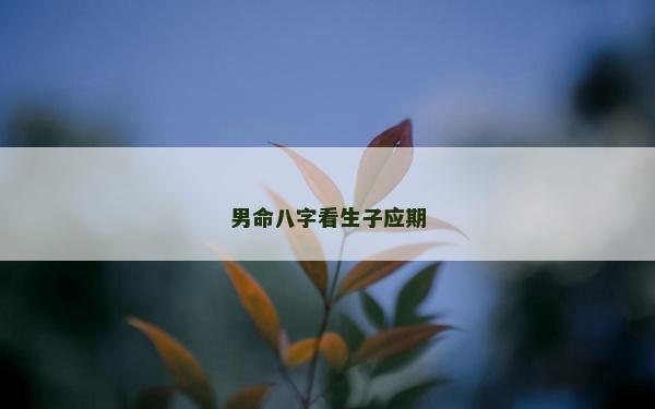 男命八字看生子应期