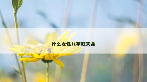 什么女性八字旺夫命