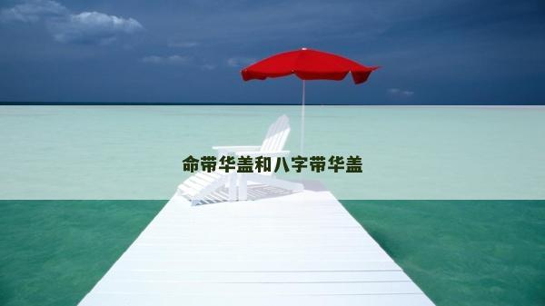 命带华盖和八字带华盖