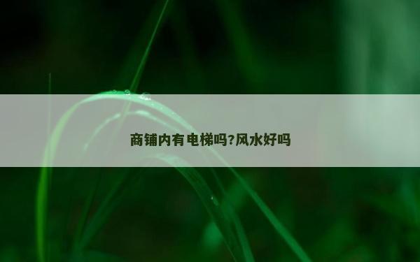 商铺内有电梯吗?风水好吗