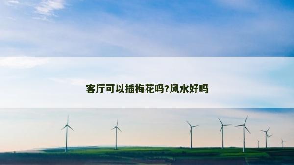 客厅可以插梅花吗?风水好吗