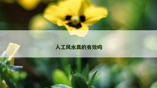 人工风水真的有效吗