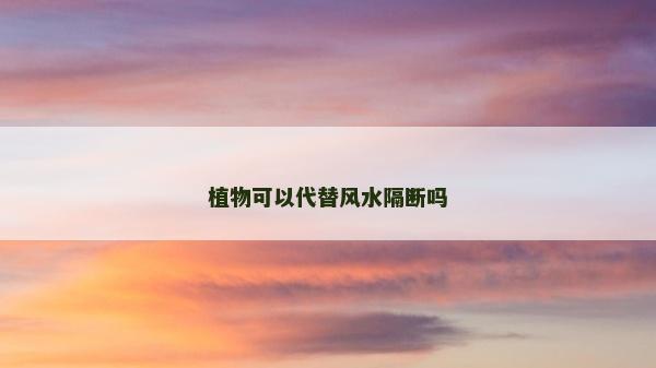 植物可以代替风水隔断吗