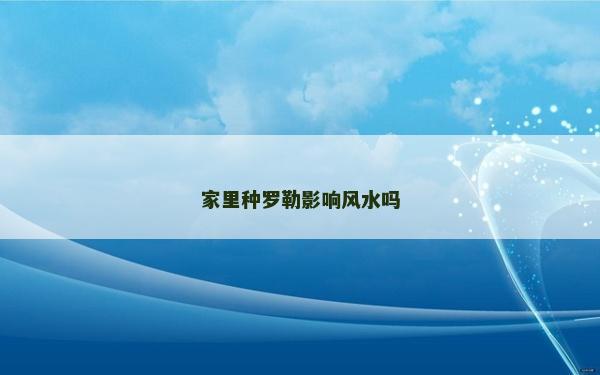 家里种罗勒影响风水吗
