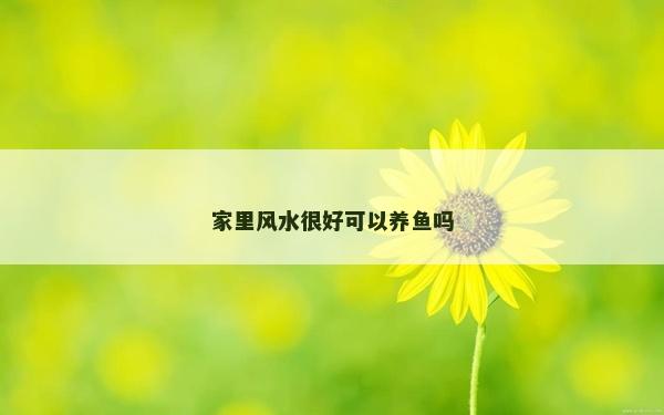 家里风水很好可以养鱼吗