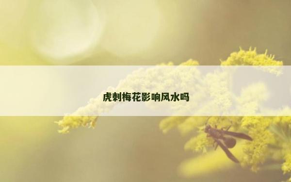 虎刺梅花影响风水吗