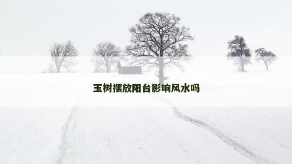 玉树摆放阳台影响风水吗