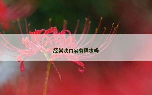 经常吹口哨有风水吗