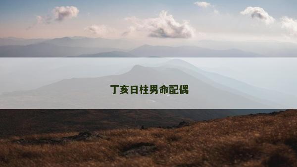 丁亥日柱男命配偶