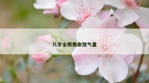 八字全阴男命煞气重