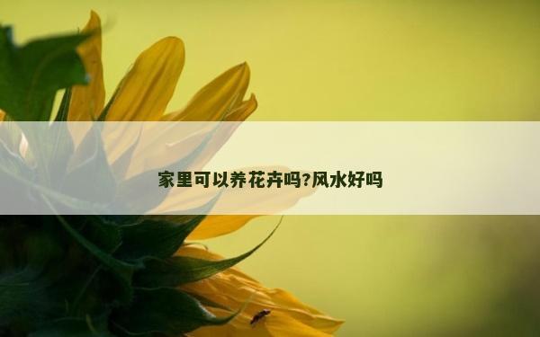 家里可以养花卉吗?风水好吗