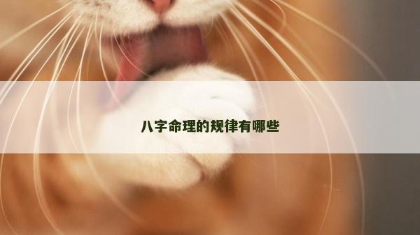 八字命理的规律有哪些