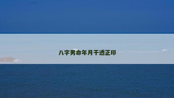 八字男命年月干透正印