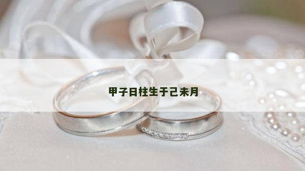 甲子日柱生于己未月
