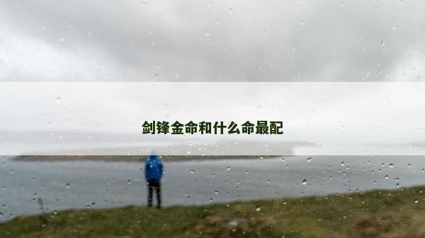 剑锋金命和什么命最配