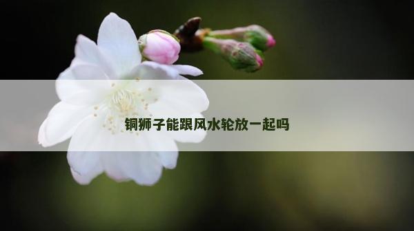 铜狮子能跟风水轮放一起吗