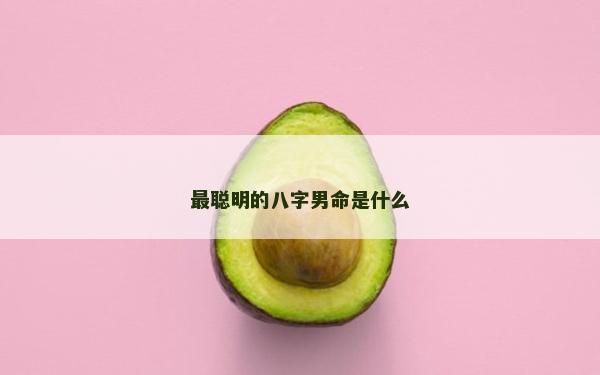 最聪明的八字男命是什么