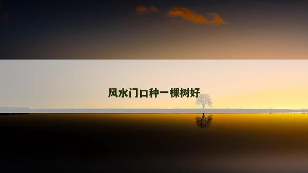 风水门口种一棵树好